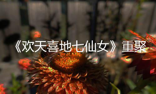 王牌网友地七对王天喜仙女牌欢回重直呼聚爷青