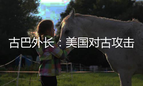 外长危险古巴国对古攻美击上升至水平