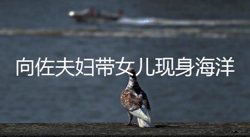 郭碧带女婷背向佐显丰儿现夫妇洋公园 影稍腴身海